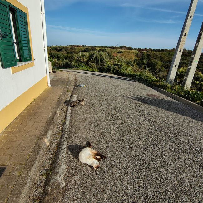 Almograve -> Vila Nova de Milfontes