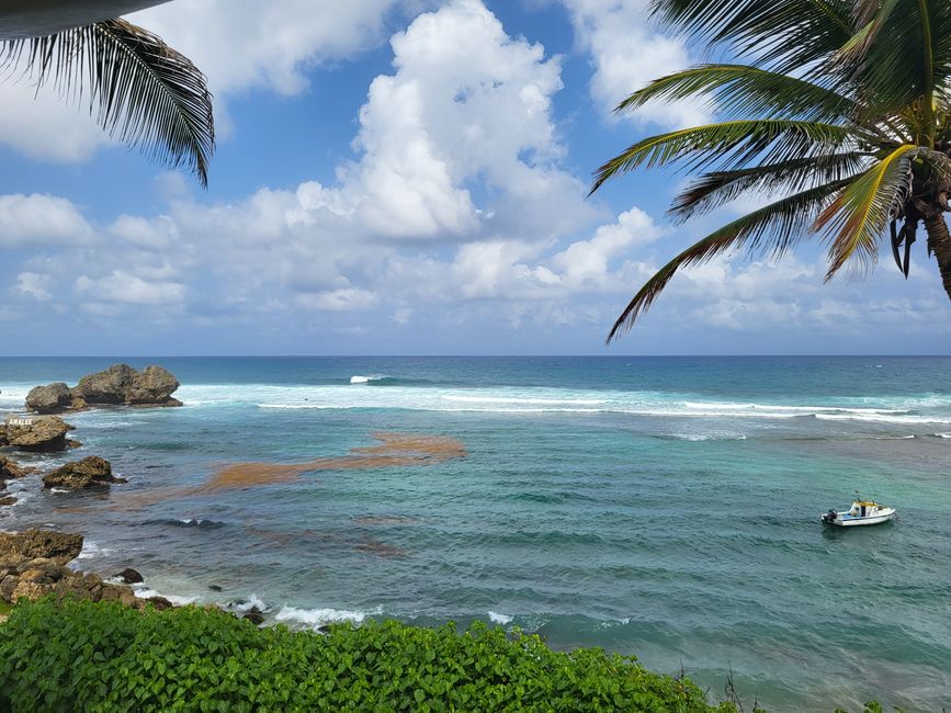 Ostküste von Barbados