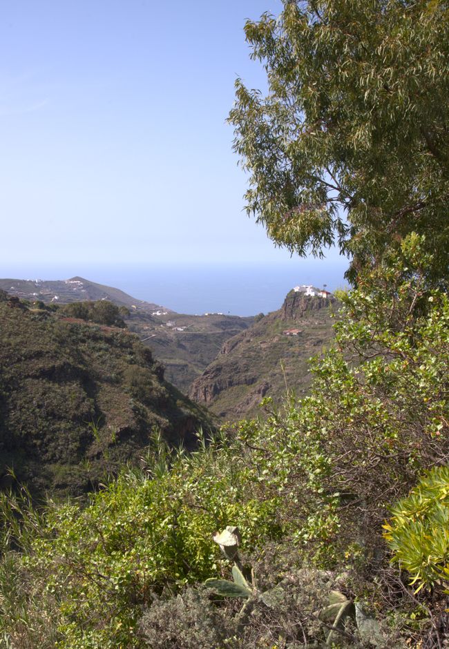 Los Tilos de Moya