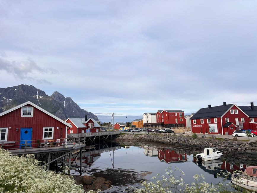 LOFOTEN - Che mondo meraviglioso?