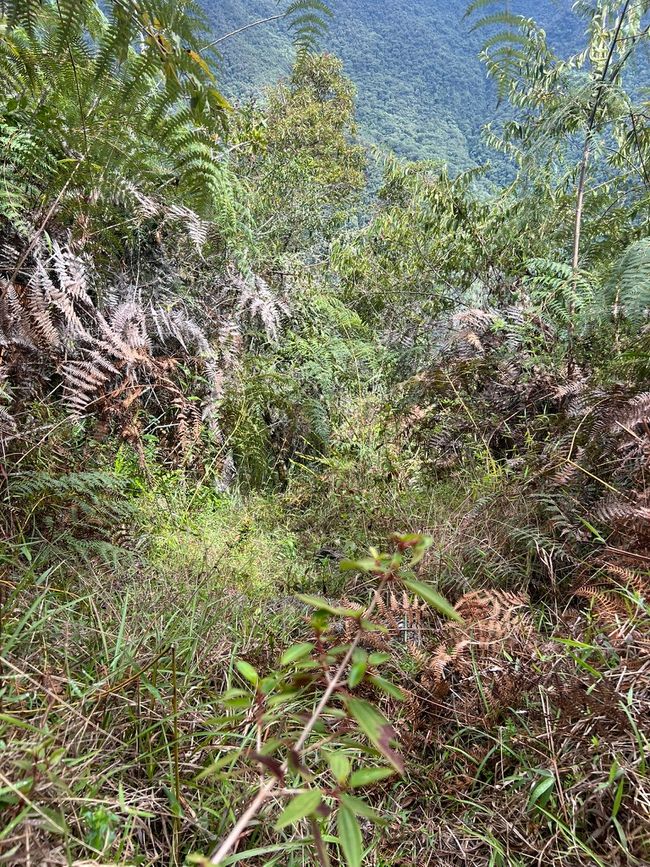 👷‍♂️标签 31-1 (3.11.) 马丘比丘，登上惠纳比丘山