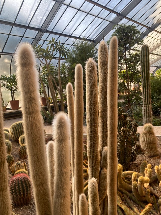 und dann nur noch staunen