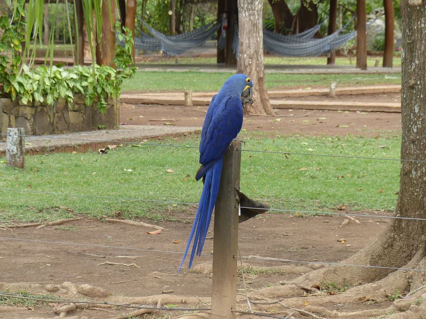 Refugio Canaa Brasil