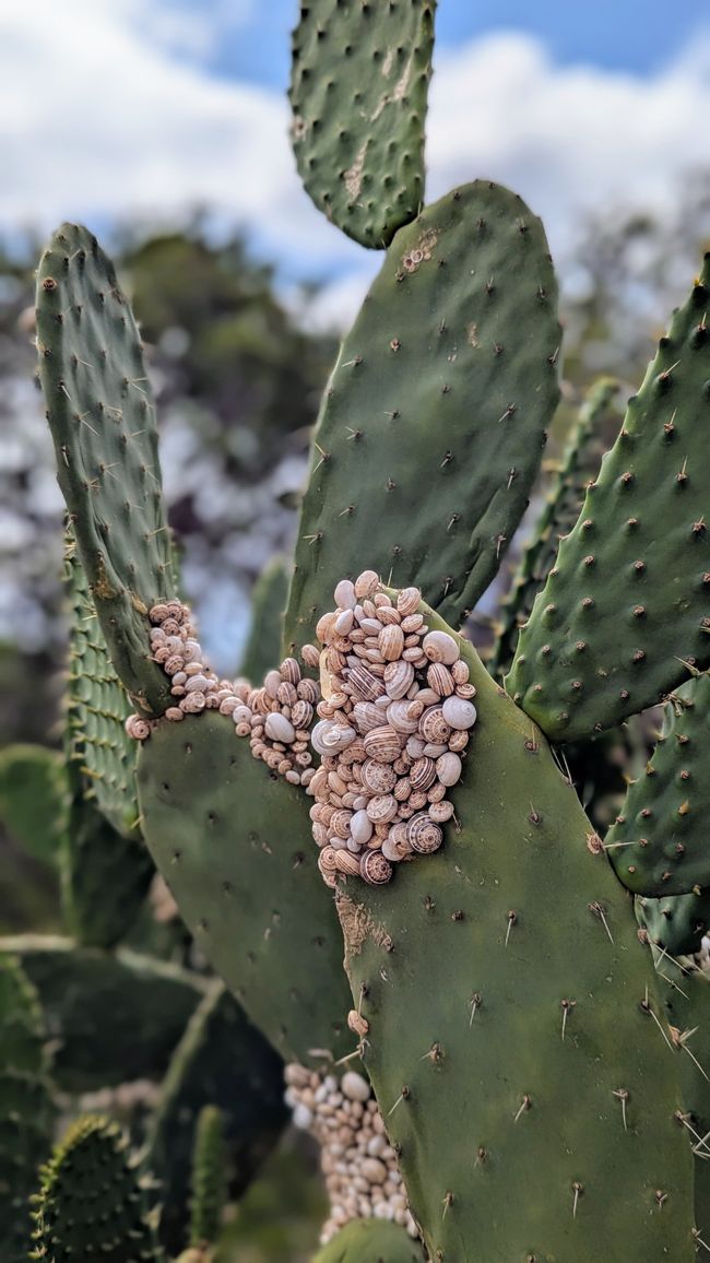 Wanderweg zur Gruta de Ana Ferreia