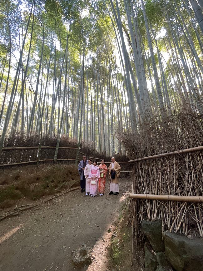 23.Kapitel: Arashiyama oder ein Tag von vorne bis hinten gelungen