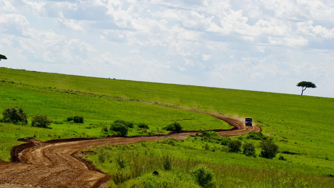 Jambo Kenia