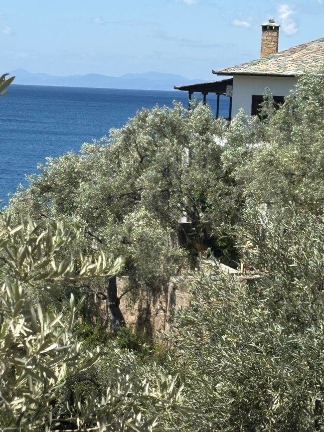Milina