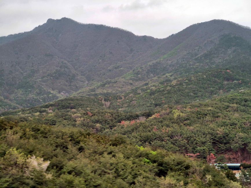 Bosque de Ahopsan