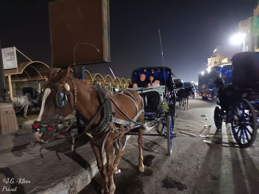 Kutschfahrt 