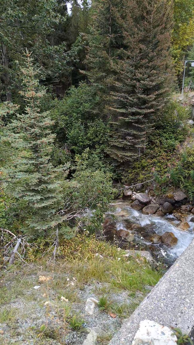 Tag 13: Fahrt nach Whistler