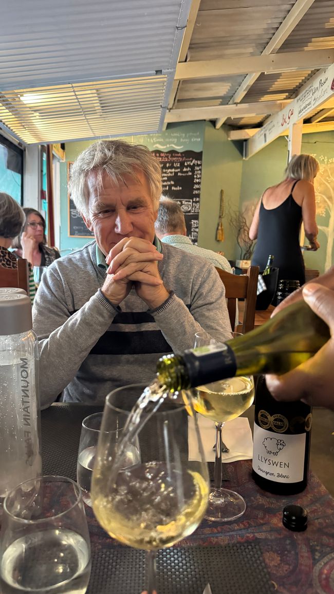 Wein kosten