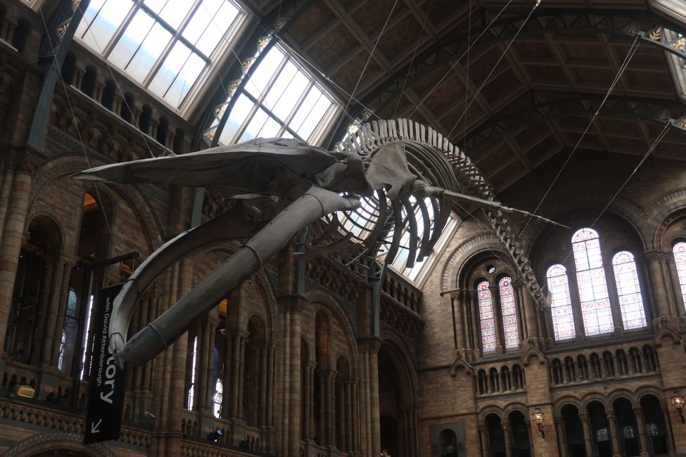Londres 2026