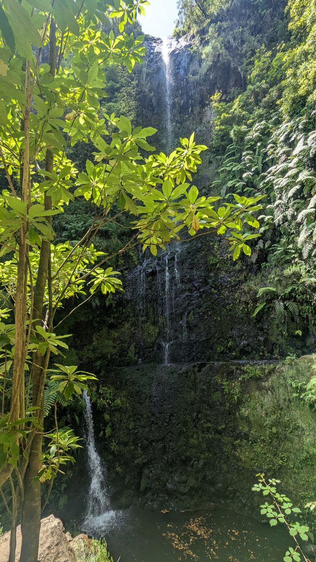 Tag 14: Levada do Caldeirão Verde & Nordküste