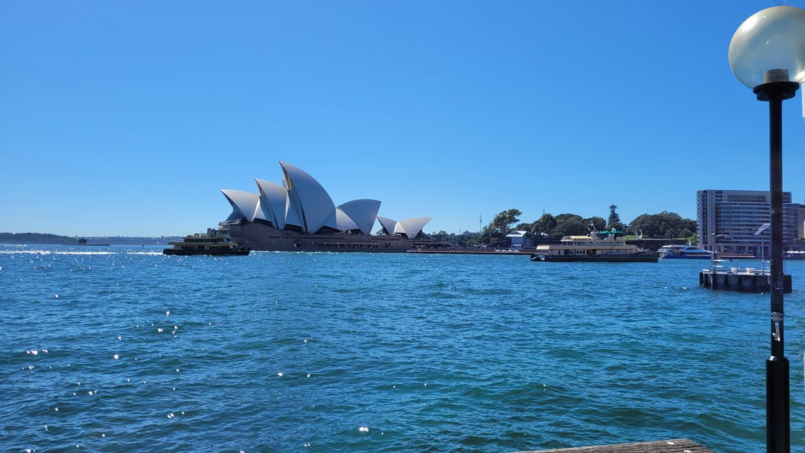 Heute königliches Programm – Royal Botanical Garden in Sydney