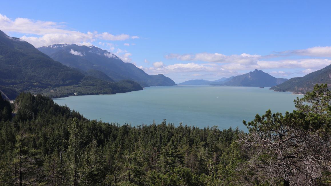 Quercus Point