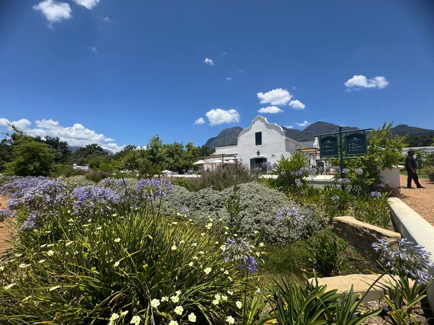 Franschhoek