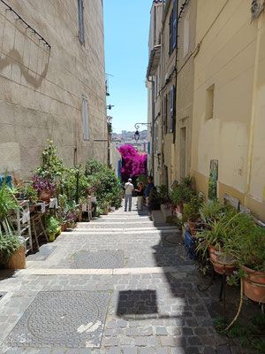 Marseille 
Hop on Hop off und zu Fuß