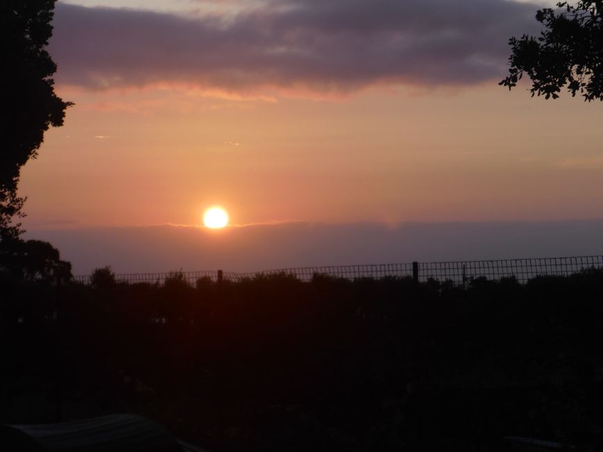 SA um 6:50h
