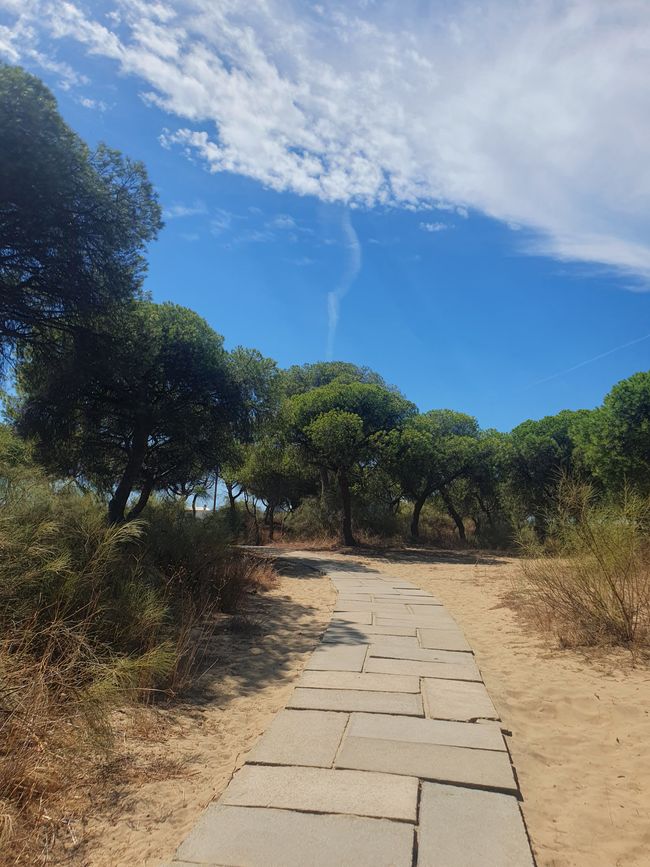 Strand ist auch schön 