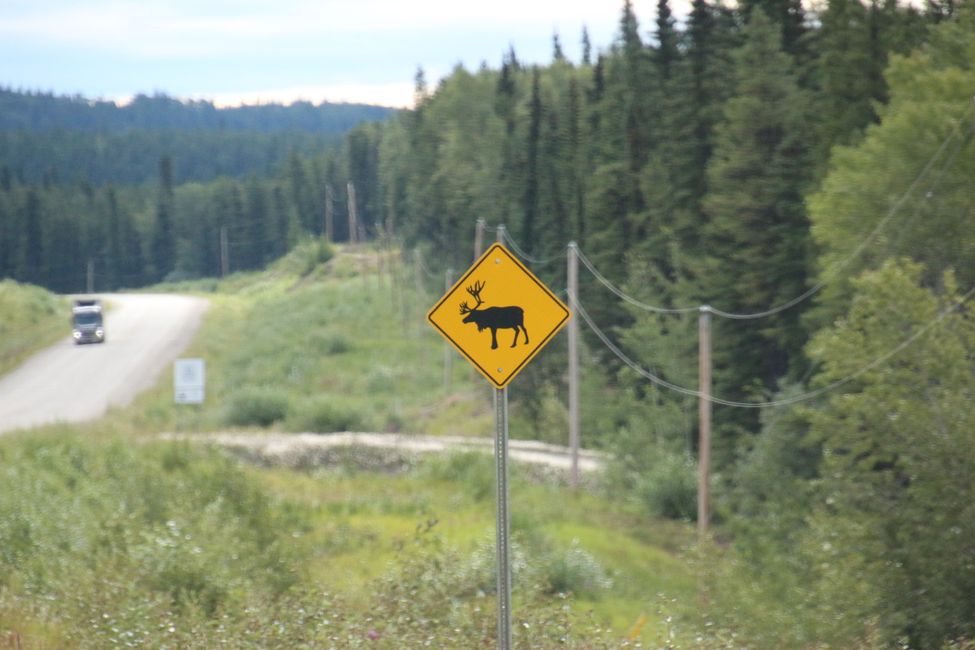 Sign Post Forest (forest of signs) Watson Lake