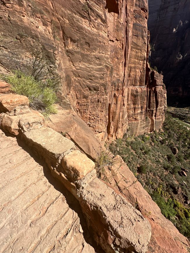 Tierra de Cañones: Zion y el Cañón de Bryce❤️