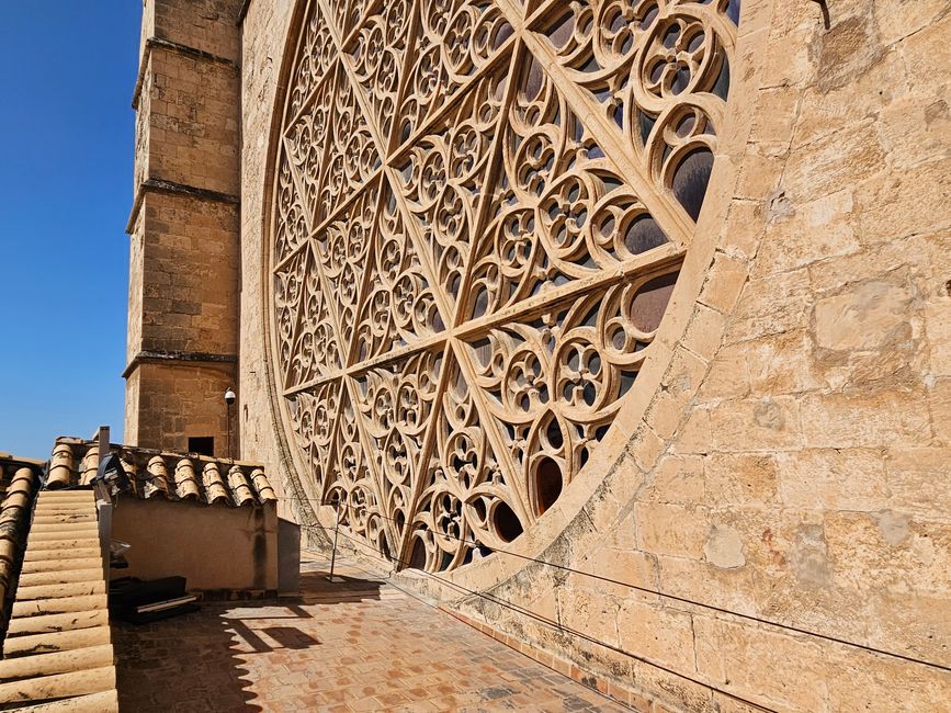 Terrazza panoramica della cattedrale