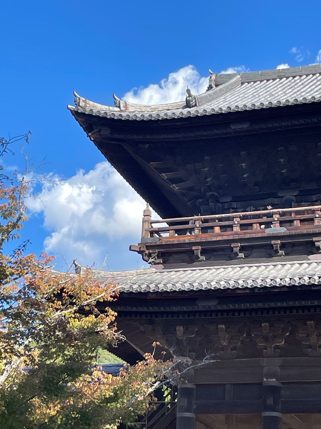8. Chapter:
Blessed sitting through Kyoto