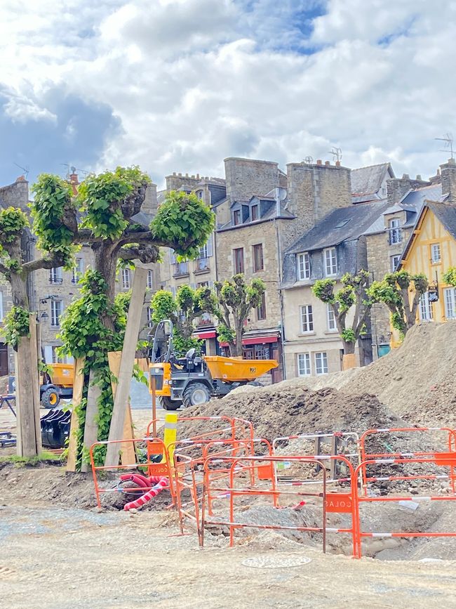Dinard und Gras