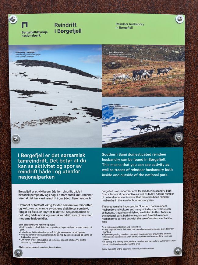 Wanderung zum Borgefjell Nasjonalpark