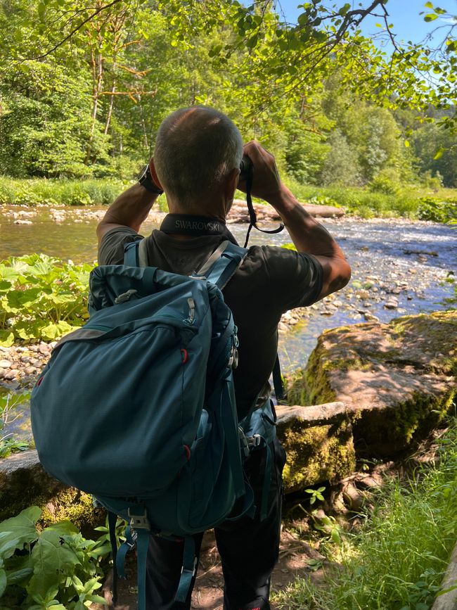 28 Wutachschlucht Pro Wolermoos