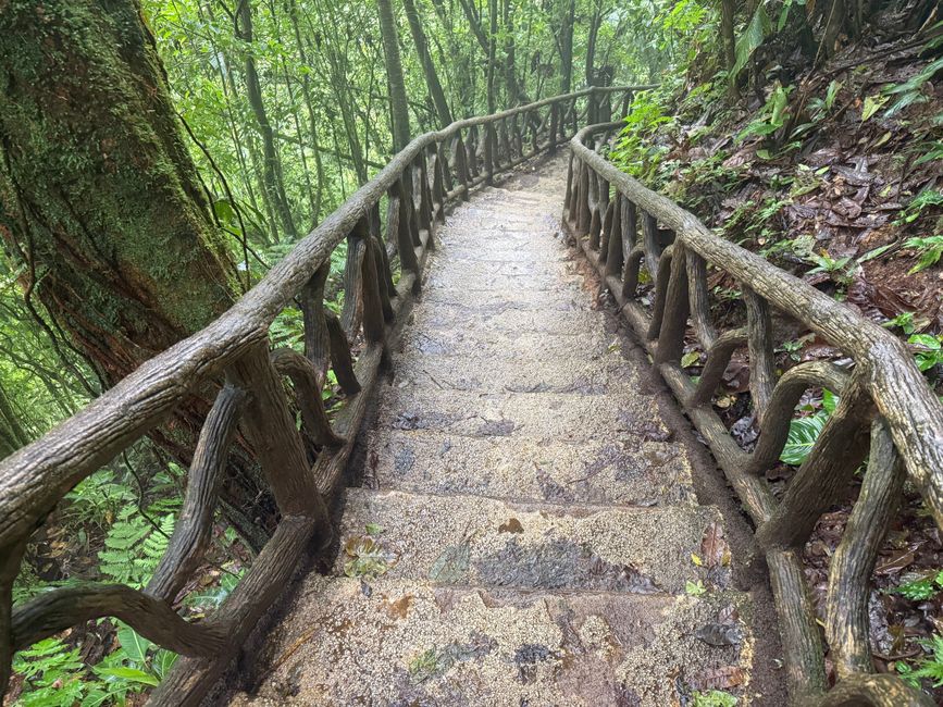 Weg zum Wasserfall