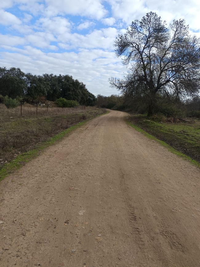 The path was very sandy today