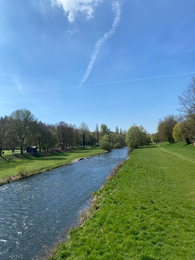 Die Enz ist nicht sehr wild