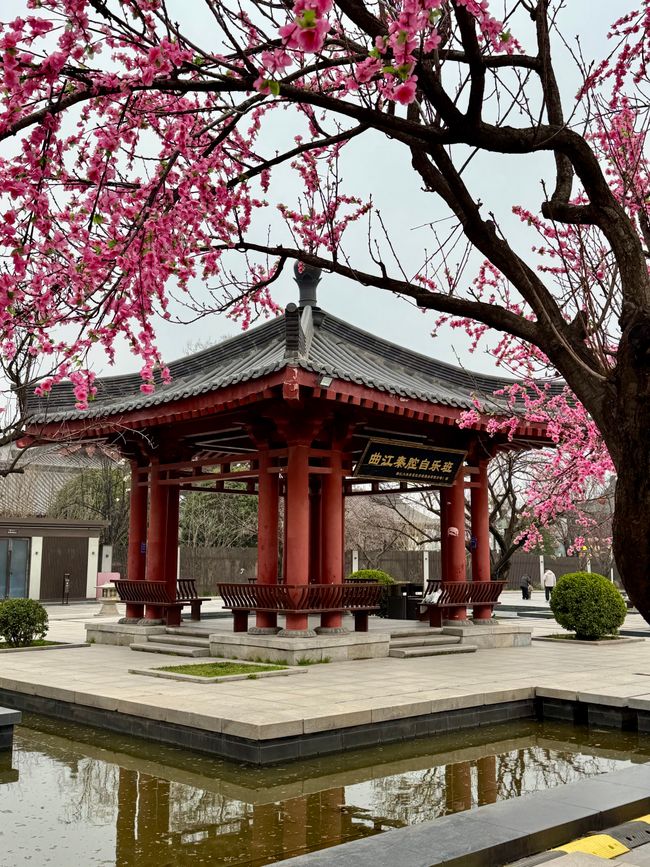Part 2: Xi'an and Chengdu 🐼