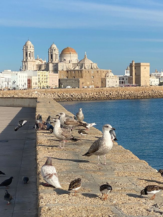 Cadiz - eine traumhafte Hafenstadt in Andalusien