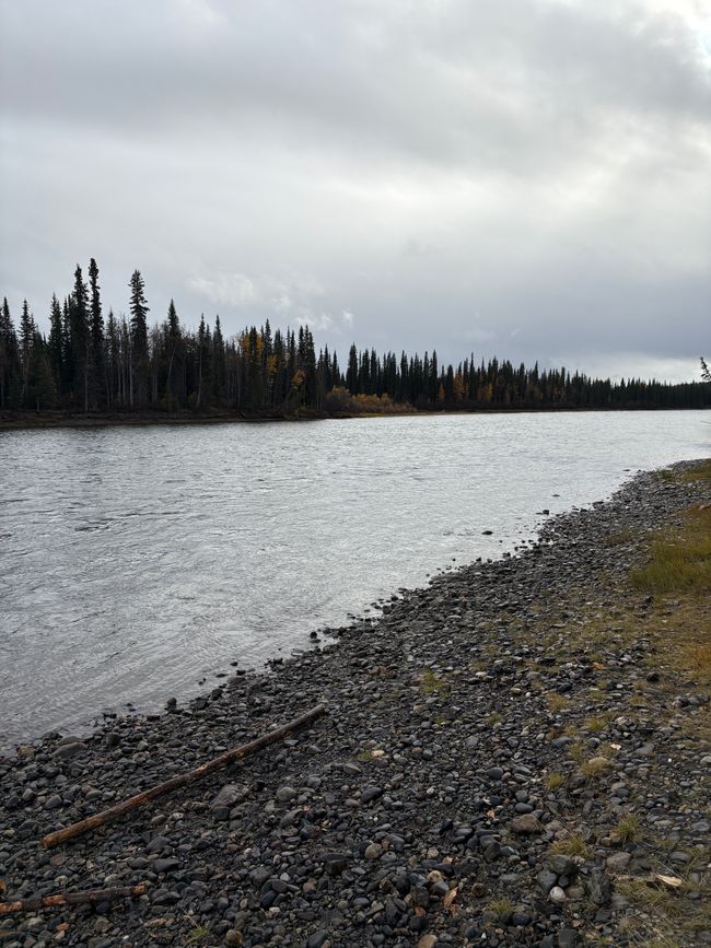 Day 5 - 🚐 Pothole Slalom, Moose Menus, and Off-Road Adventures – our day on the Canol Road