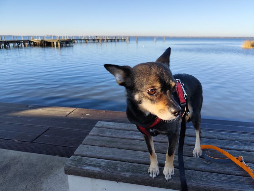 Our 1st trip! We went to Steinhuder Meer because the owner still had a TÜV inspection of the sports hall with the Lower Saxony Football Association NFV in Barsinghausen.