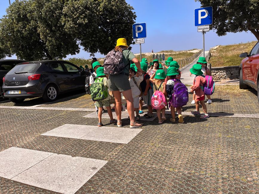 Imagen típica de Portugal: Los jardines de infancia y las clases escolares visitan la playa, todos con coloridos gorros