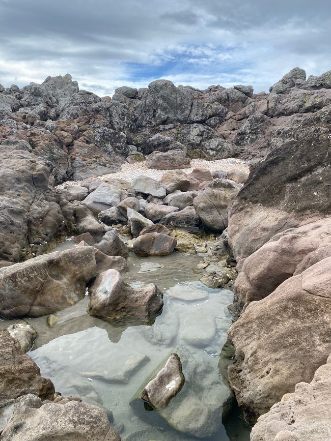 Bahía de Plenty