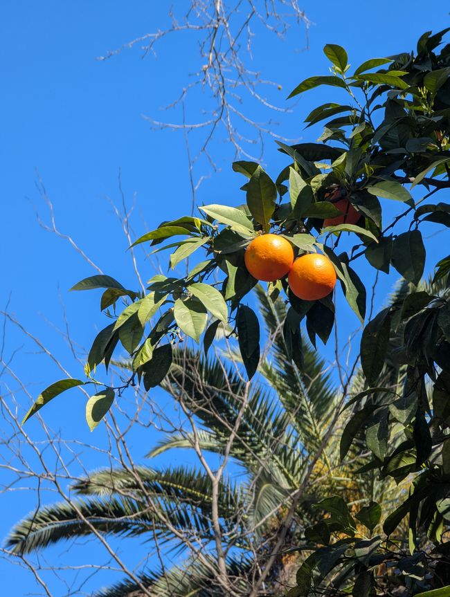 Sevilla- eine Woche spanische Sonne Teil 1