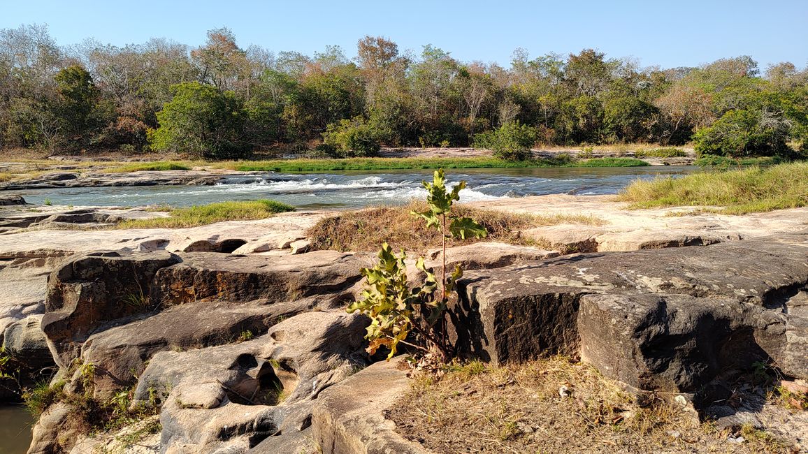 Brazil, refuge near Coxim