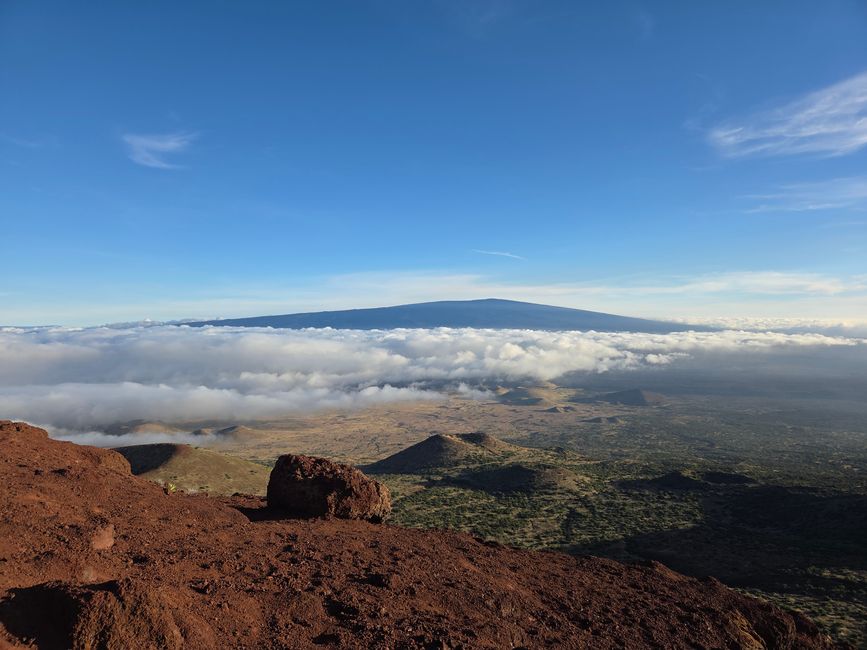 23. Grande Île - Hilo et Mauna Kea