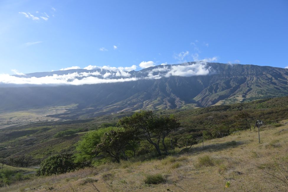 Route de Hana - Sur la route sud