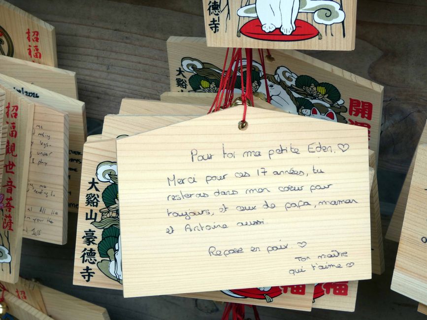 Katzentempel Gotoku-ji