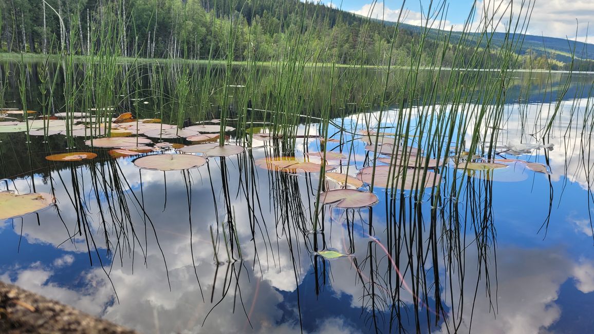 Oslo Gjøvik 9-16.Juli 2024/13.Juli