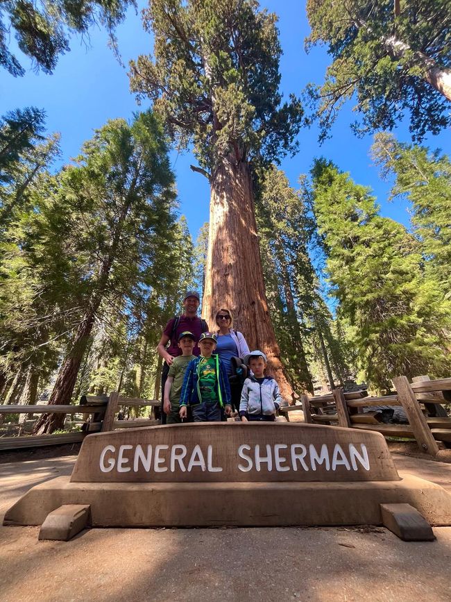 Giganteschi giganti nella Sequoia