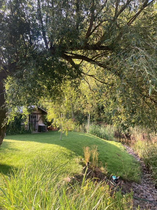 Per Rufbus durch die Ukraine