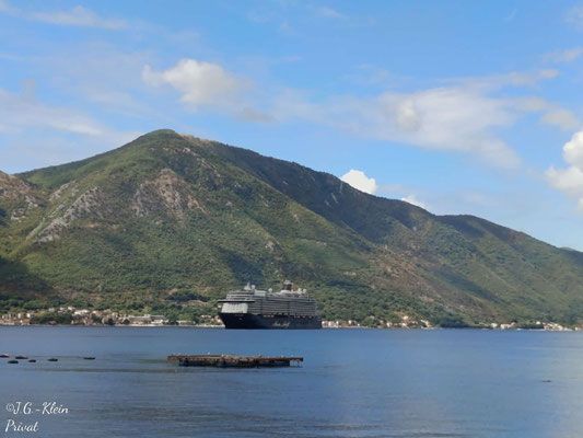 2025 Kotor Hop on Hop off