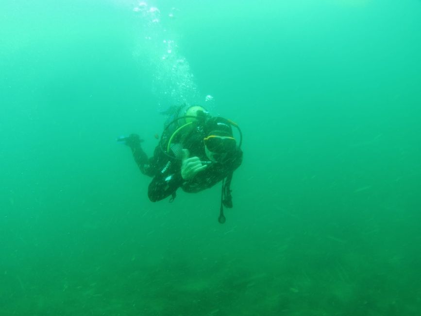 My first dive