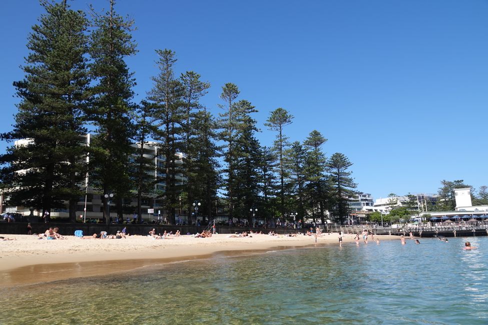 Sulle spiagge di Manly ....